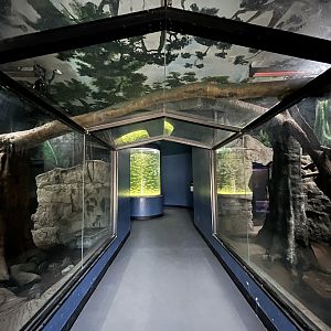 Predators Building - unsigned tanks