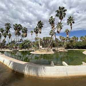 Spider Monkey Islands