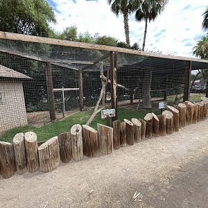 Colobus Monkey Exhibit