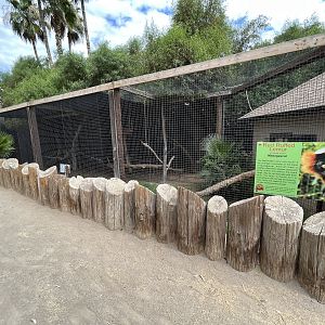 Red Ruffed Lemur Exhibit