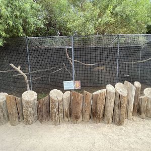Red-fronted Macaw Aviary