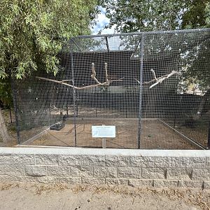 Helmeted Curassow Aviary