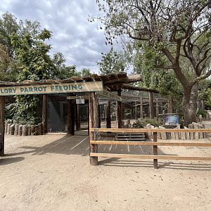 Lorikeet Feeding Aviary