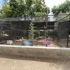Kookaburra + Blue-crowned Pigeon Aviary