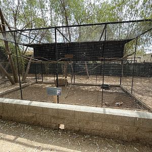 Giant Wood Rail Aviary