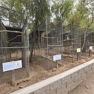 Row of small aviaries (4 species)