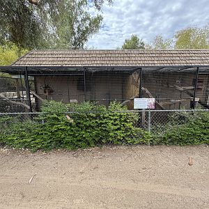Keel-billed Toucan Aviaries