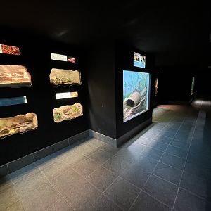 Reptile House - 53 exhibits