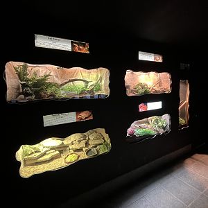 Reptile House - 53 exhibits