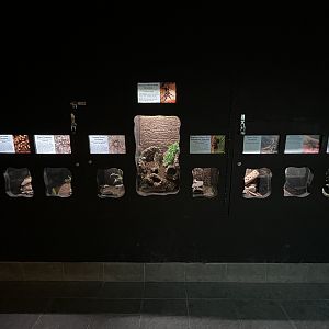 Reptile House - 53 exhibits