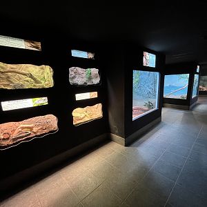 Reptile House - 53 exhibits