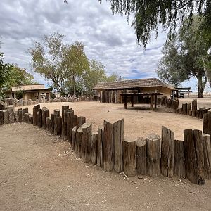 Galapagos Tortoise Exhibit - empty