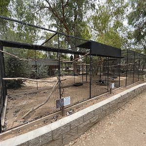 Green Peafowl Aviary