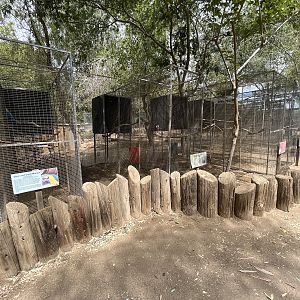 Assorted Aviaries (8 species)