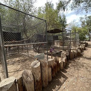 Green-winged Macaw + Hyacinth Macaw Aviaries