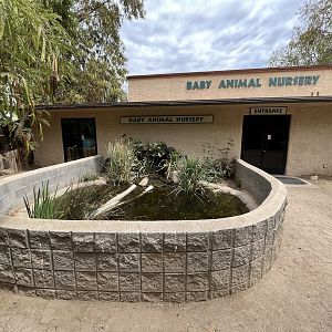 Baby Animal Nursery + Turtle Pool