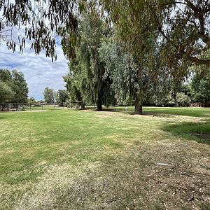 Dama Gazelle Exhibit