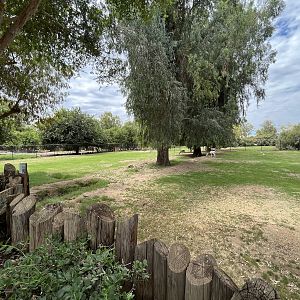 Dama Gazelle Exhibit