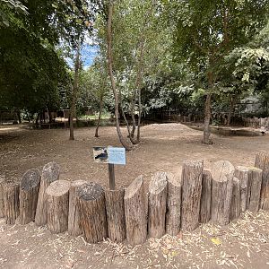 Crested Screamer Exhibit