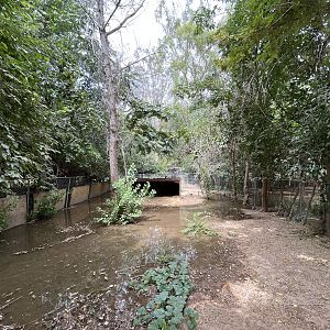South American Tapir Exhibit - empty
