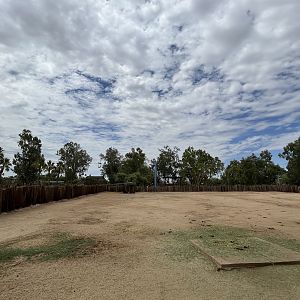 Sable Antelope Exhibit