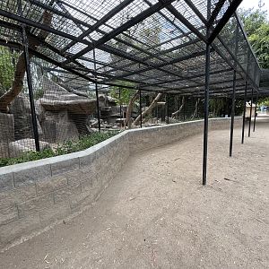 Jaguar Exhibits