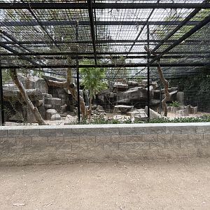 Jaguar Exhibit #2
