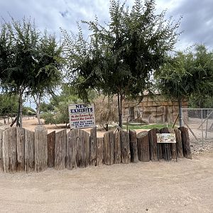Future Tiger Exhibit