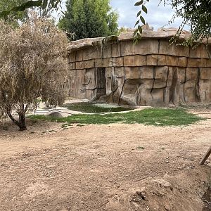 Future Tiger Exhibit