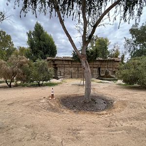Future Tiger Exhibit