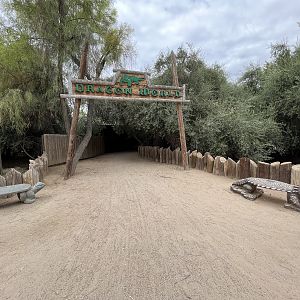 Dragon World - 19 exhibits