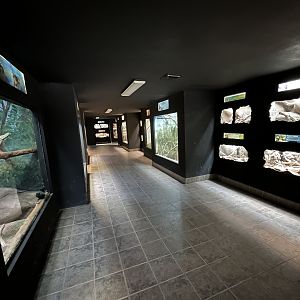 Small Mammal House - 38 exhibits