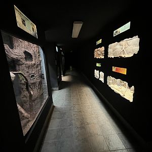 Small Mammal House - 38 exhibits