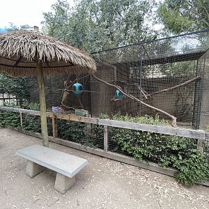 Squirrel Monkey Exhibits