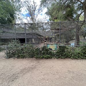 Old Jaguar Exhibit - empty