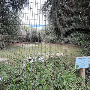 Tiger Exhibit
