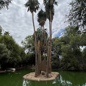 Spider Monkey Island #4