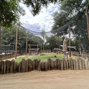 Andean Condor Aviary