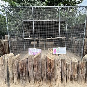 Eclectus Parrot Aviary