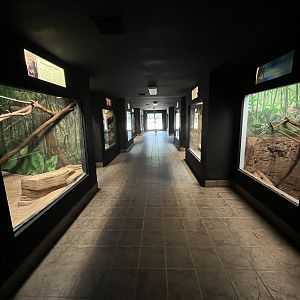 Small Mammal House - 38 species