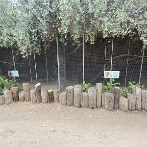 Guinea Turaco + Collie’s Magpie Jay Aviaries