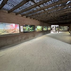 Dragon World - 19 exhibits