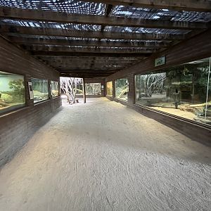 Dragon World - 19 exhibits