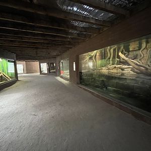 Dragon World - 19 exhibits