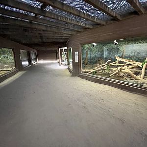 Dragon World - 19 exhibits