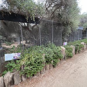 Row of Aviaries
