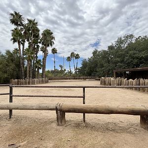 White Rhino Exhibit #1