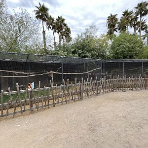 Red-billed Hornbill Aviaries