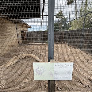 American Badger Outdoor Exhibit