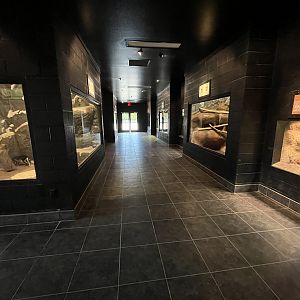 North American House - 13 exhibits